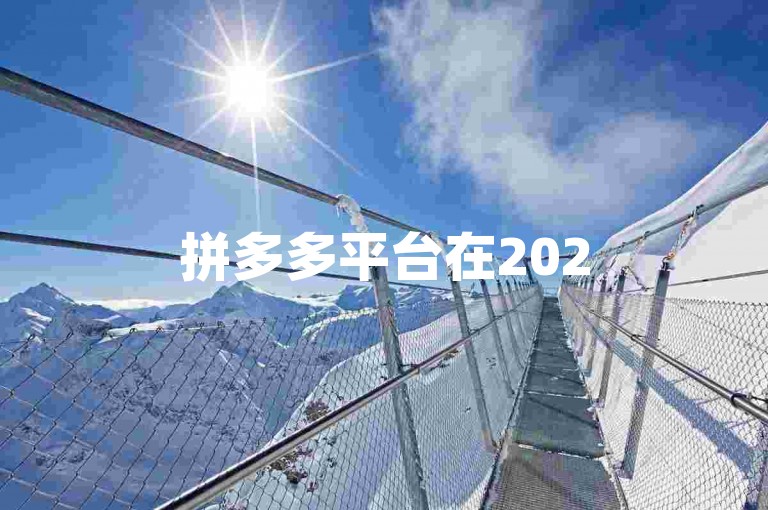 拼多多平台在2025年将全面支持通过微信进行便捷的在线支付。