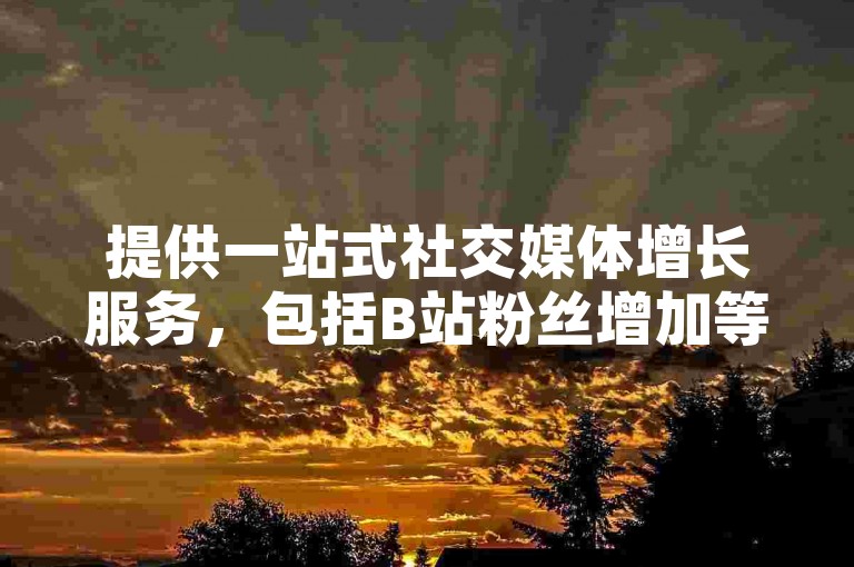 提供一站式社交媒体增长服务，包括B站粉丝增加等业务。