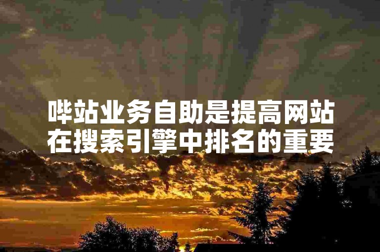 哔站业务自助是提高网站在搜索引擎中排名的重要手段之一。