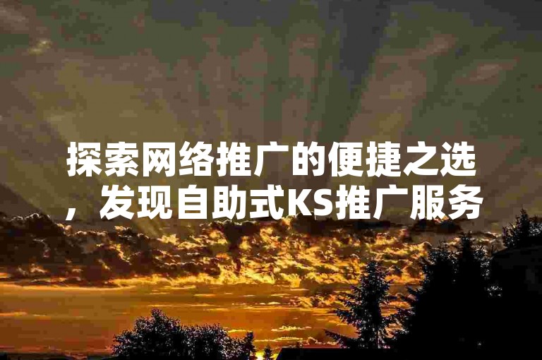 探索网络推广的便捷之选，发现自助式KS推广服务与头条粉丝增长平台。