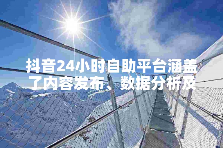 抖音24小时自助平台涵盖了内容发布、数据分析及用户互动等多项服务，旨在为创作者提供全方位的支持。