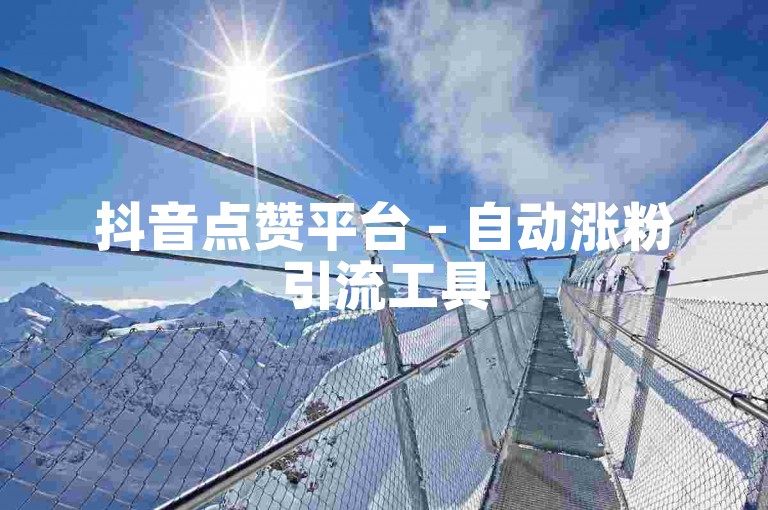 抖音点赞平台 - 自动涨粉引流工具