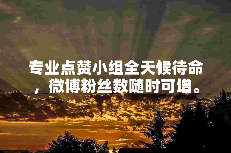 专业点赞小组全天候待命，微博粉丝数随时可增。