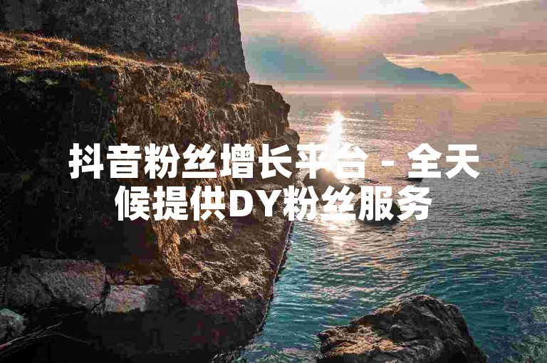 抖音粉丝增长平台 - 全天候提供DY粉丝服务