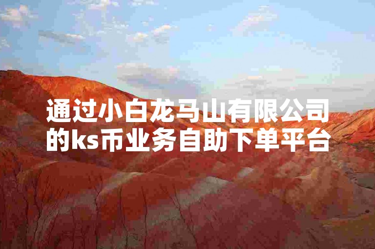 通过小白龙马山有限公司的ks币业务自助下单平台，你可以以0.01元的优惠价格快速增加ks视频的双击播放量。