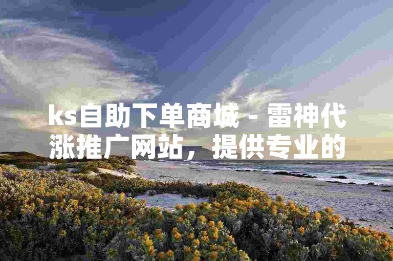 ks自助下单商城 - 雷神代涨推广网站，提供专业的网络营销服务。