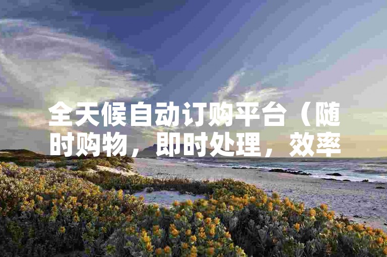 全天候自动订购平台（随时购物，即时处理，效率至上）。