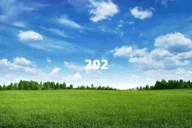 2025拼多多内部优.惠开心捡.漏省群，是一个专注于分享拼多多优惠信息和互助砍价的社群。
