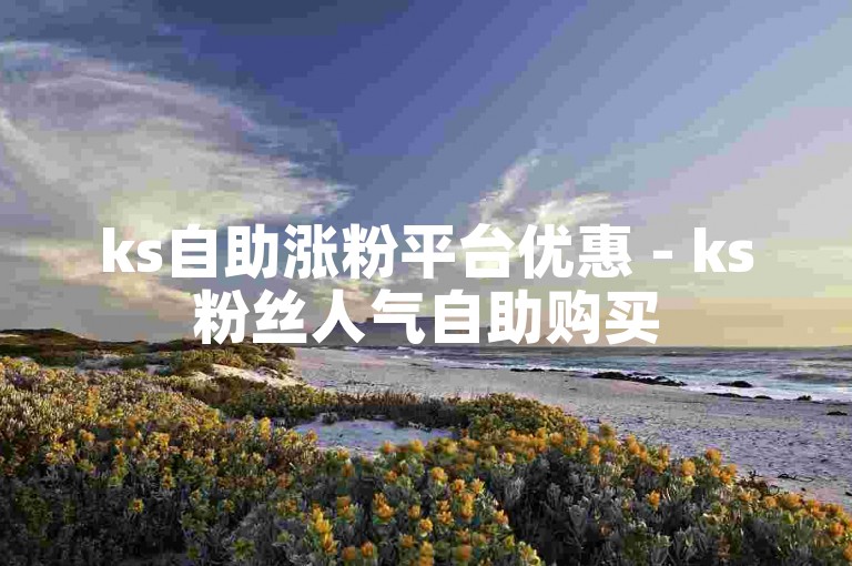 ks自助涨粉平台优惠 - ks粉丝人气自助购买
