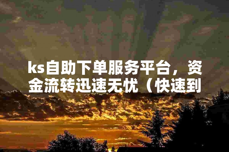 ks自助下单服务平台，资金流转迅速无忧（快速到账的KS自助服务平台）