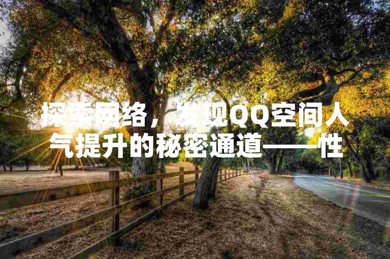 探索网络，发现QQ空间人气提升的秘密通道——性价比高的访客量查询平台精选！