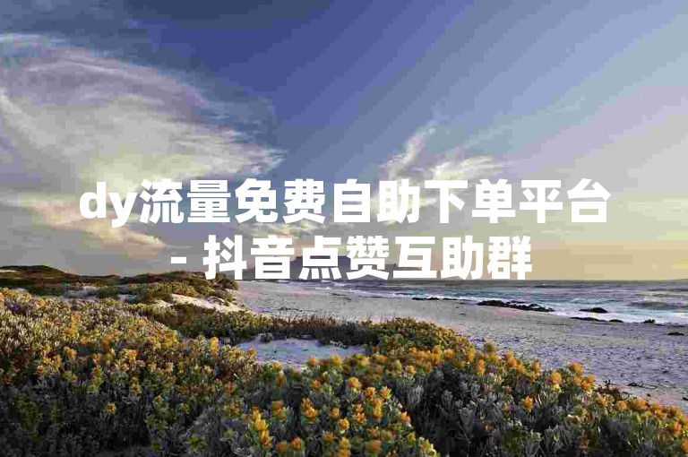 dy流量免费自助下单平台 - 抖音点赞互助群