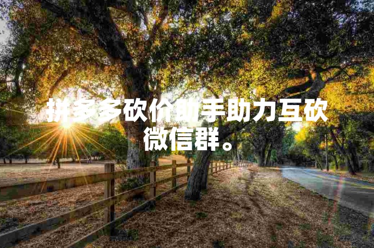 拼多多砍价助手助力互砍微信群。