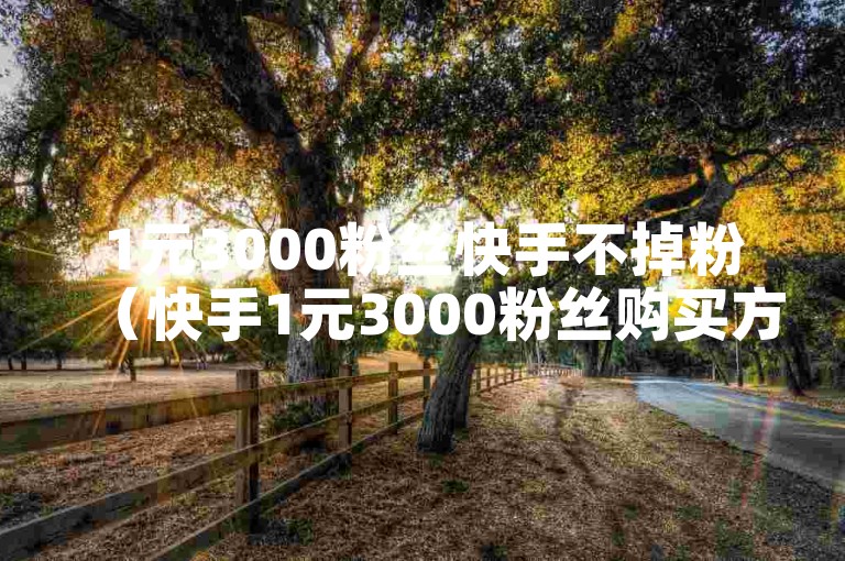 1元3000粉丝快手不掉粉（快手1元3000粉丝购买方法分享）