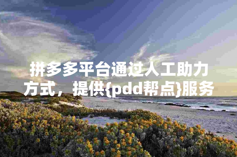 拼多多平台通过人工助力方式，提供{pdd帮点}服务以支持用户。