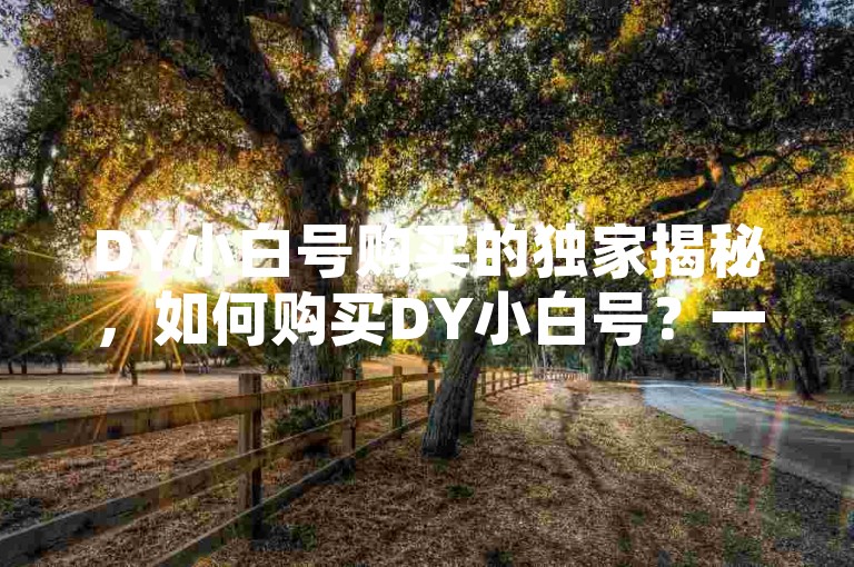 DY小白号购买的独家揭秘，如何购买DY小白号？一步步详细指南！！2025必学。