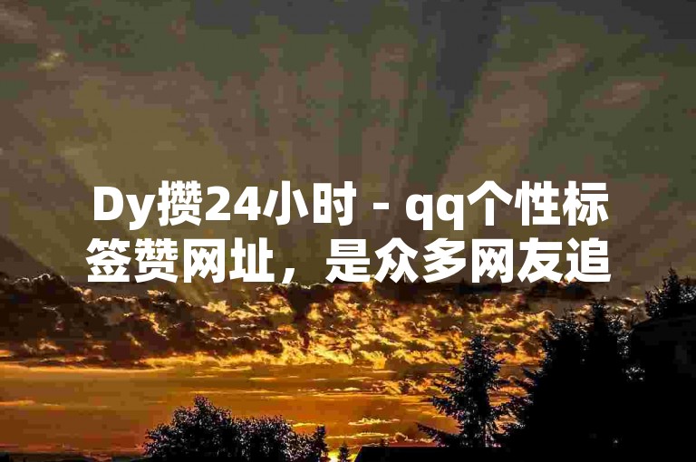 Dy攒24小时 - qq个性标签赞网址，是众多网友追求个性化表达的热门选择。