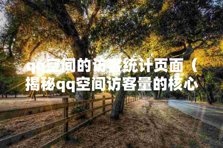 qq空间的访客统计页面（揭秘qq空间访客量的核心数据）。