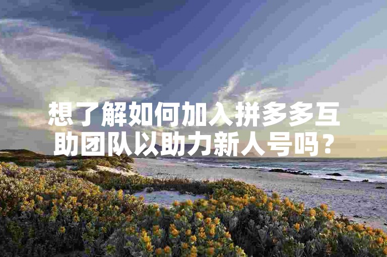 想了解如何加入拼多多互助团队以助力新人号吗？