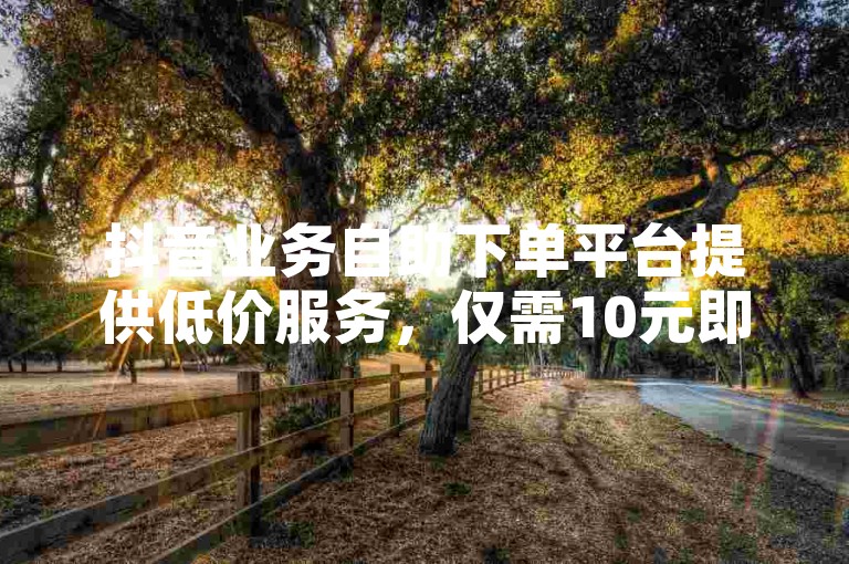 抖音业务自助下单平台提供低价服务，仅需10元即可享受蚂蚁般的高效服务。