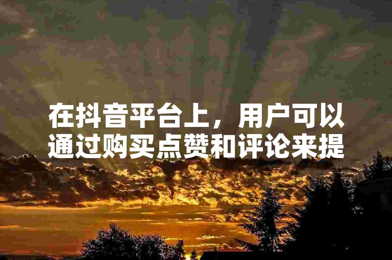 在抖音平台上，用户可以通过购买点赞和评论来提升视频的热度。