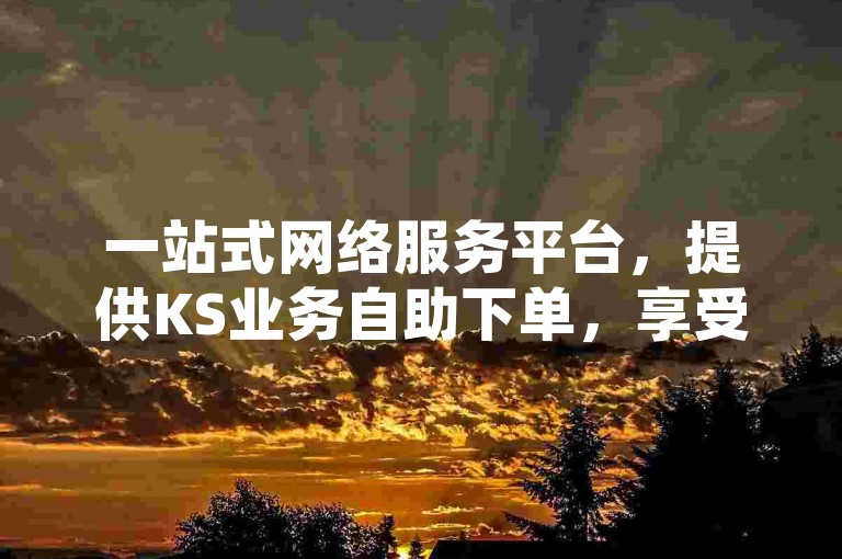 一站式网络服务平台，提供KS业务自助下单，享受全网最惠价格。