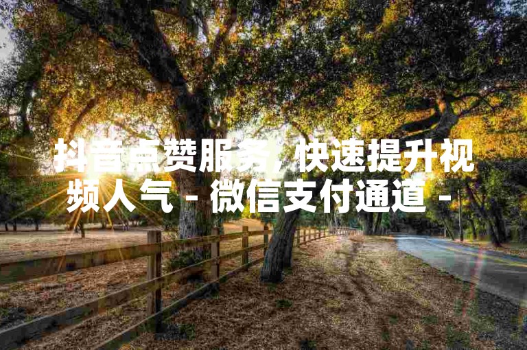 抖音点赞服务, 快速提升视频人气 - 微信支付通道 - 轻松获得更多曝光!