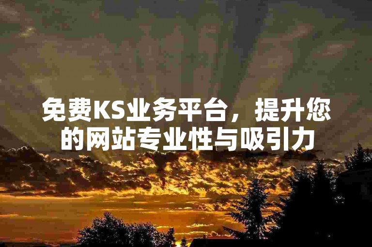 免费KS业务平台，提升您的网站专业性与吸引力