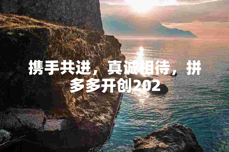 携手共进，真诚相待，拼多多开创2025年新纪元。