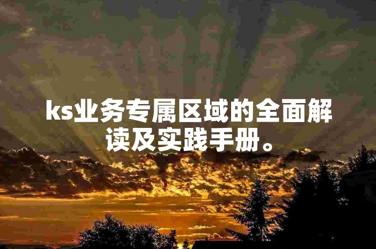 ks业务专属区域的全面解读及实践手册。