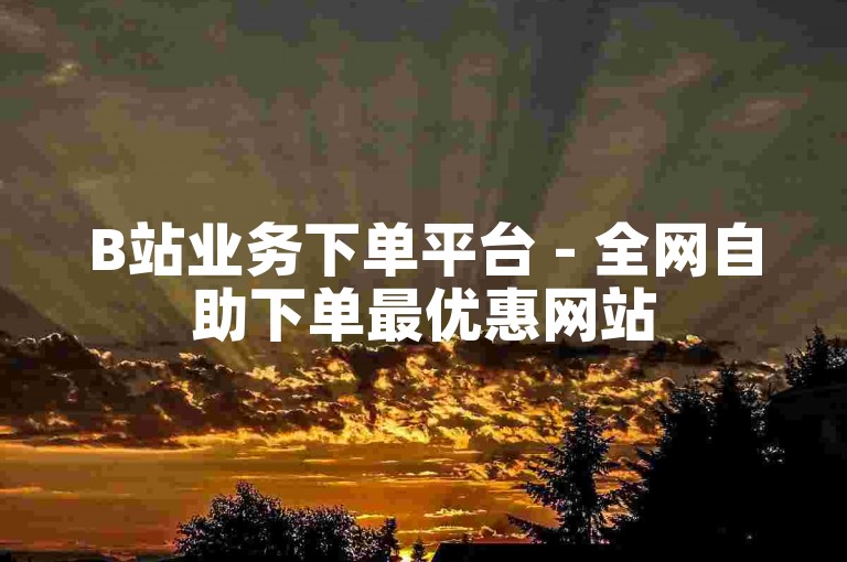 B站业务下单平台 - 全网自助下单最优惠网站