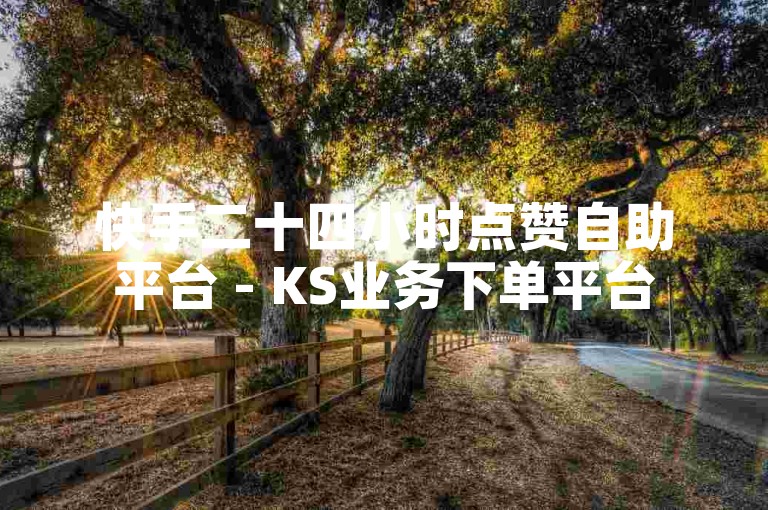 快手二十四小时点赞自助平台 - KS业务下单平台