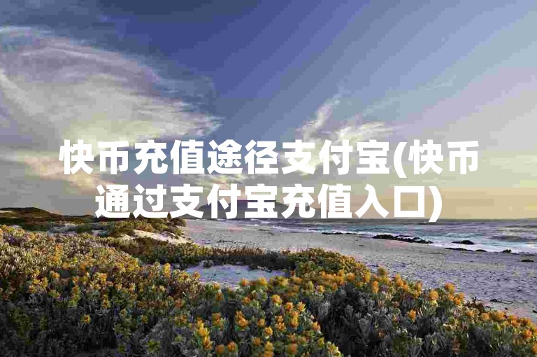 快币充值途径支付宝(快币通过支付宝充值入口)