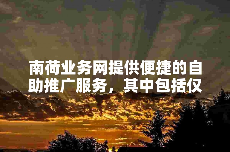 南荷业务网提供便捷的自助推广服务，其中包括仅需一元即可获得一千赞的特惠套餐。