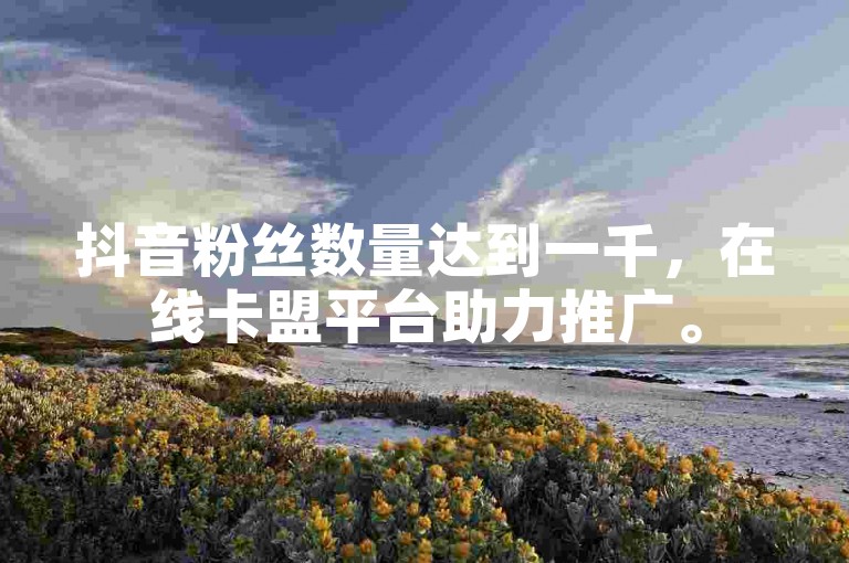 抖音粉丝数量达到一千，在线卡盟平台助力推广。