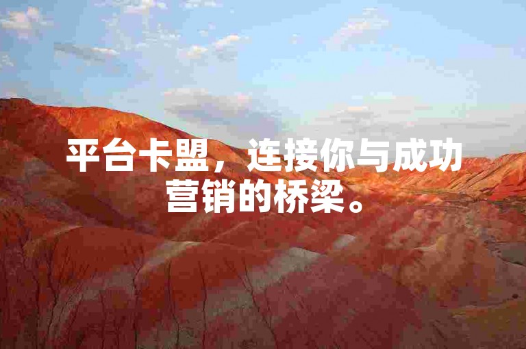 平台卡盟，连接你与成功营销的桥梁。