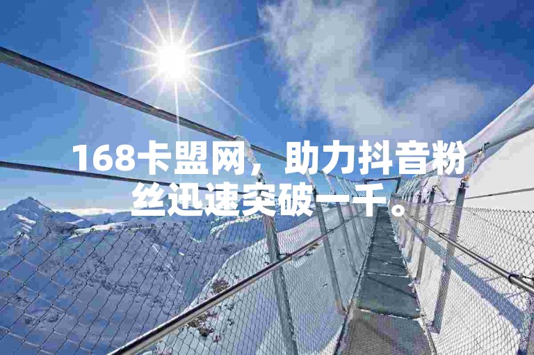 168卡盟网，助力抖音粉丝迅速突破一千。