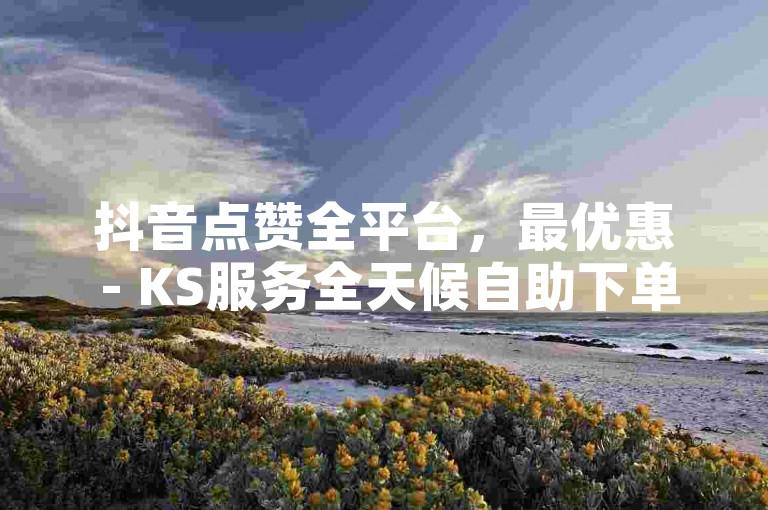 抖音点赞全平台，最优惠 - KS服务全天候自助下单超值体验