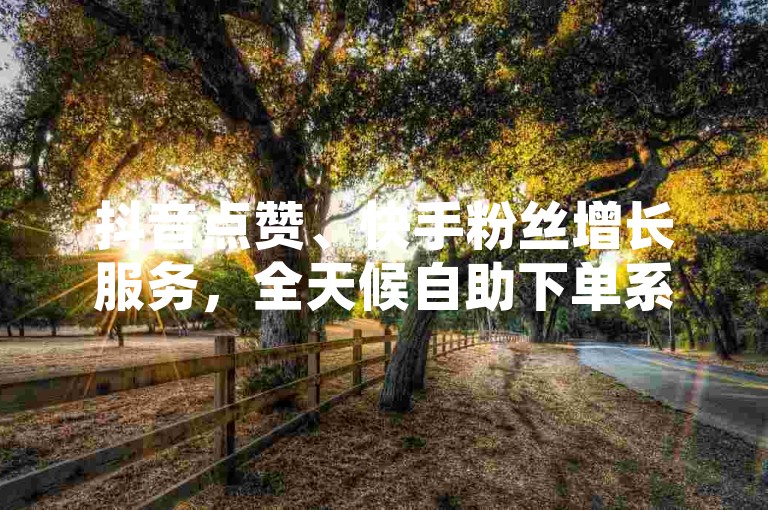 抖音点赞、快手粉丝增长服务，全天候自助下单系统 - 微信即时服务通道
