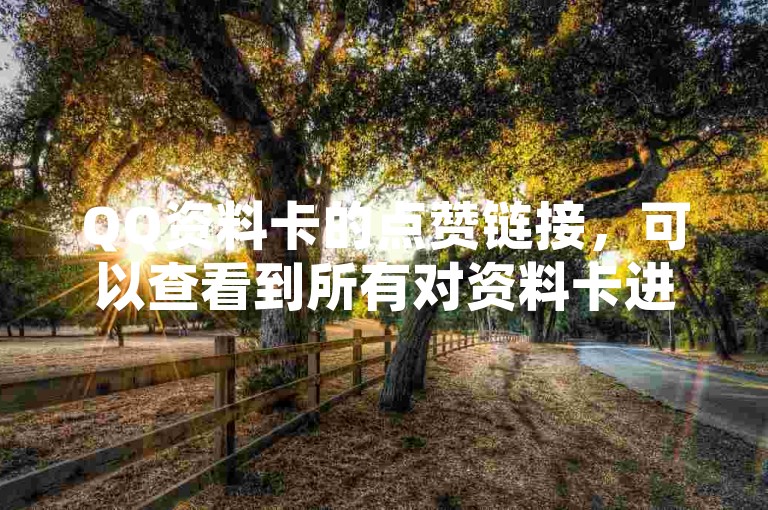 QQ资料卡的点赞链接，可以查看到所有对资料卡进行点赞的消息列表。