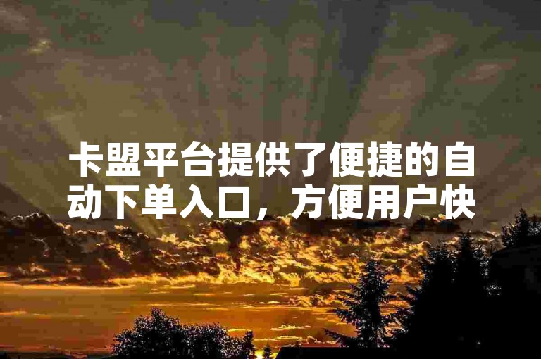 卡盟平台提供了便捷的自动下单入口，方便用户快速完成订单。