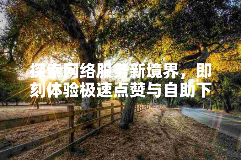 探索网络服务新境界，即刻体验极速点赞与自助下单的便捷，让您的社交影响力瞬间飙升。