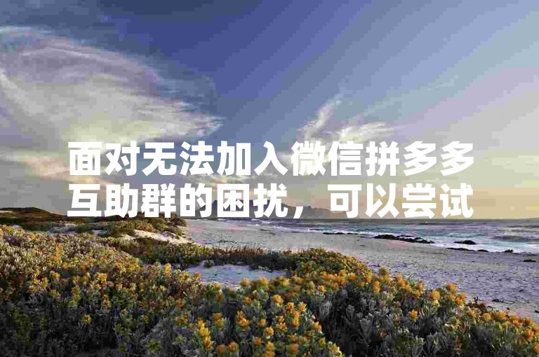 面对无法加入微信拼多多互助群的困扰，可以尝试通过官方渠道寻求帮助或在相关论坛寻找替代方案。