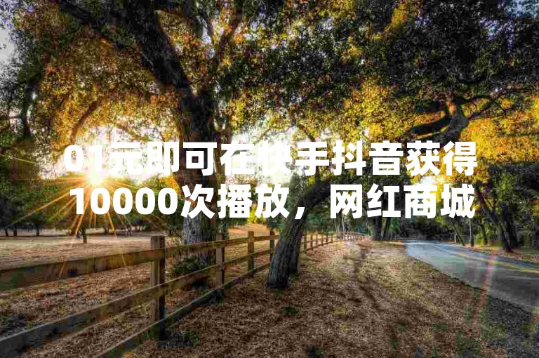 01元即可在快手抖音获得10000次播放，网红商城的官方入口已为你敞开。