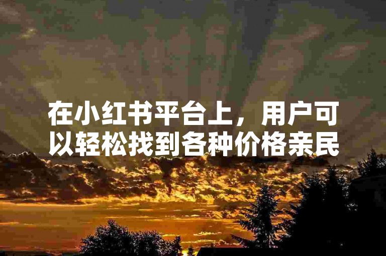在小红书平台上，用户可以轻松找到各种价格亲民的播放量提升服务。