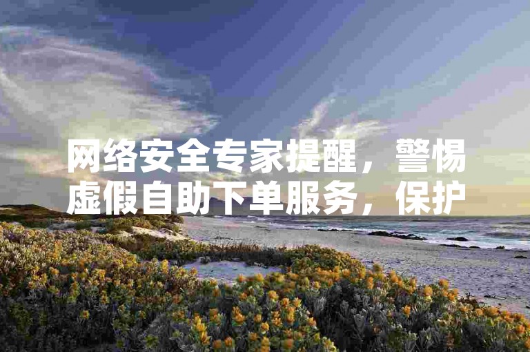 网络安全专家提醒，警惕虚假自助下单服务，保护个人信息免受诈骗。