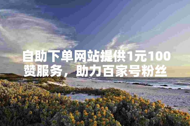 自助下单网站提供1元100赞服务，助力百家号粉丝增长。