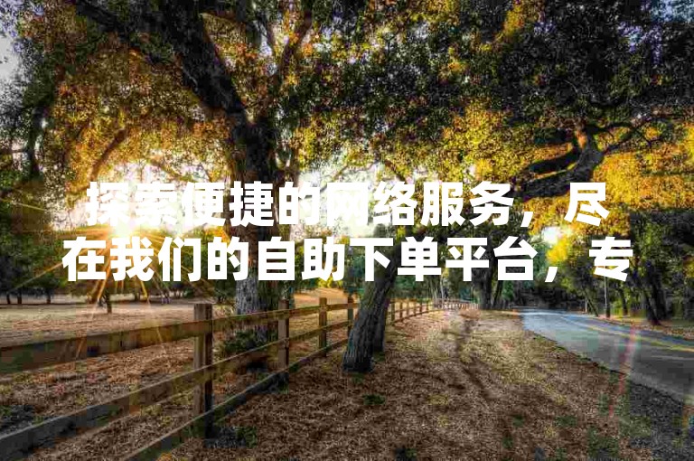 探索便捷的网络服务，尽在我们的自助下单平台，专为QQ和快手用户设计。