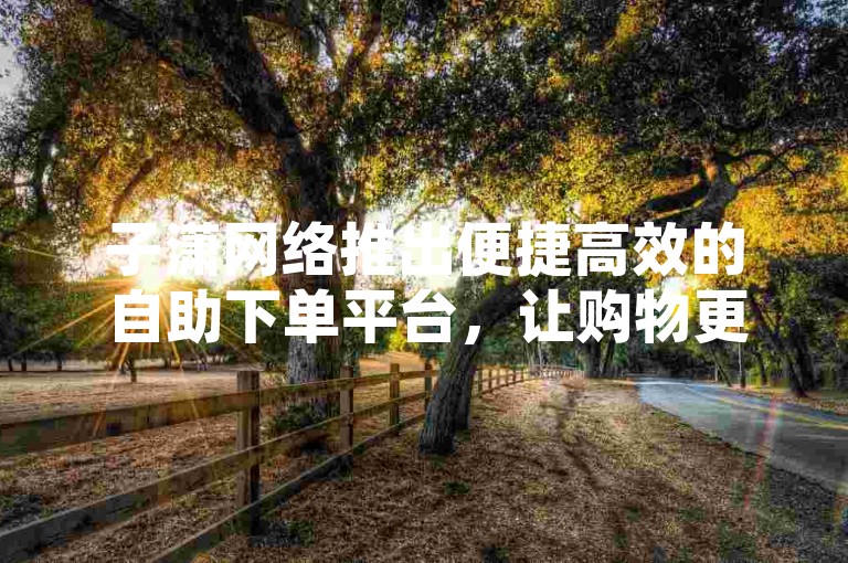 子潇网络推出便捷高效的自助下单平台，让购物更加轻松。
