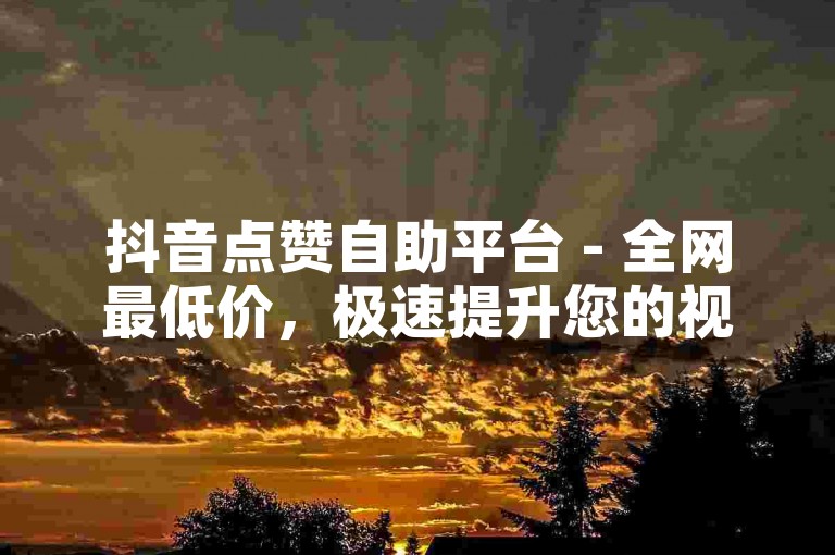 抖音点赞自助平台 - 全网最低价，极速提升您的视频热度！